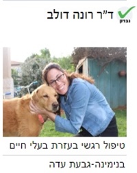 רונה דולב טיפול נפשי